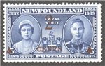 Newfoundland Scott 250 Mint VF